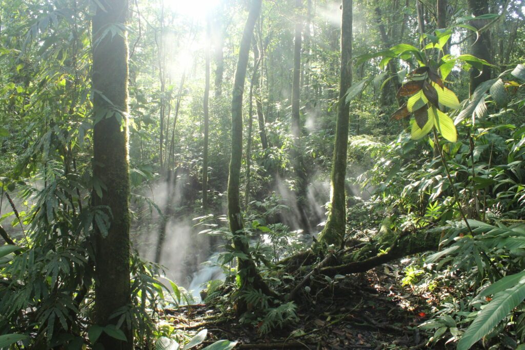 eco-tours costa rica