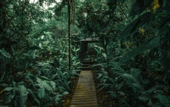 Empalme exclusive pool volcanic mud detox experience Sensoria