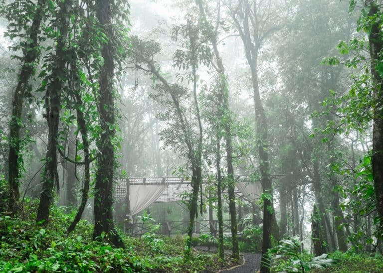 Costa Rica Rainforest Tours Guanacaste