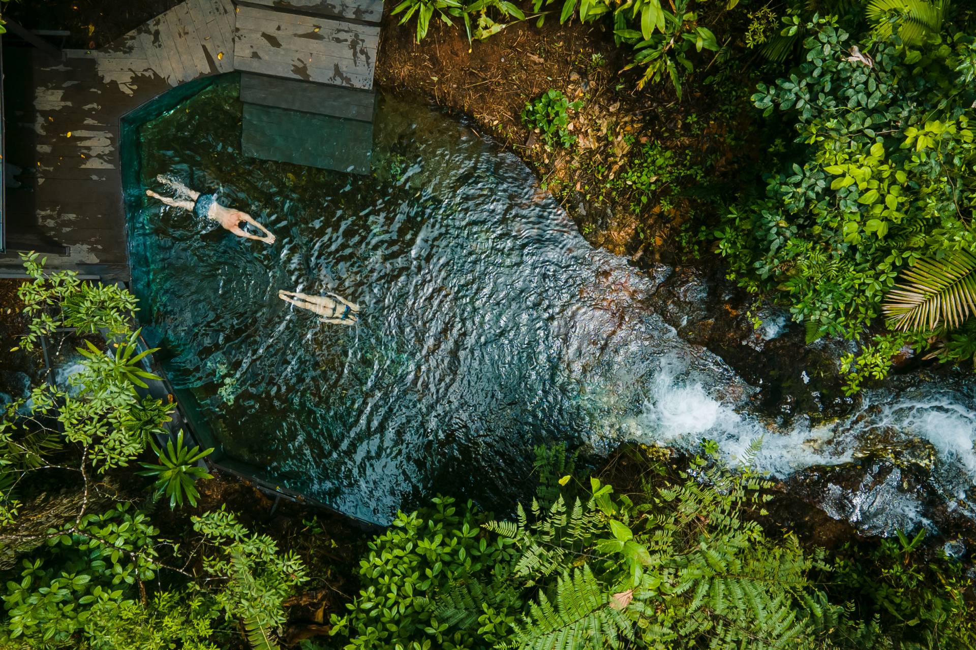 Guanacaste rainforest tour