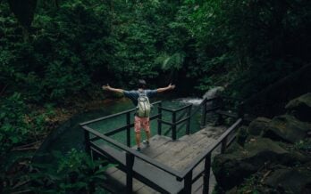 How to Choose Luxury Eco Tours Wisely