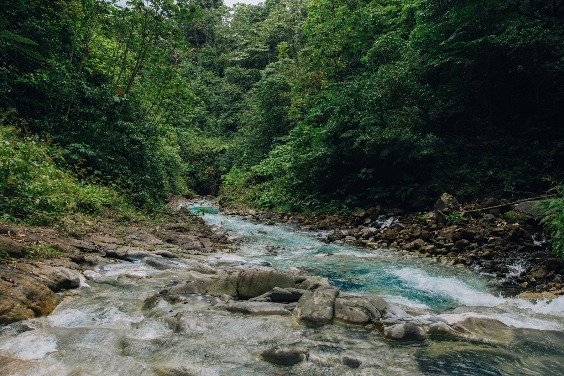 9 Forest Bathing Tour Benefits Worth Knowing