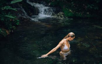 How to plan a Sensory Rainforest Daytrip