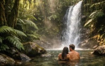 How to Plan a Sensory Rainforest Daytrip