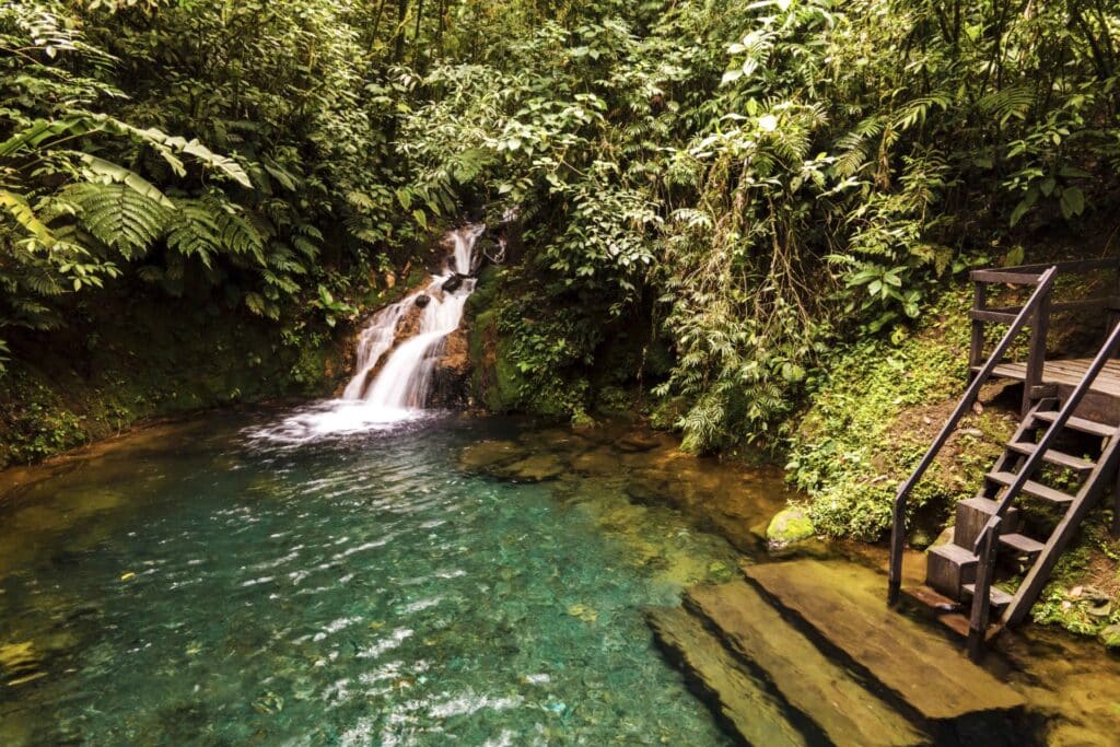 JICARA POOL 5