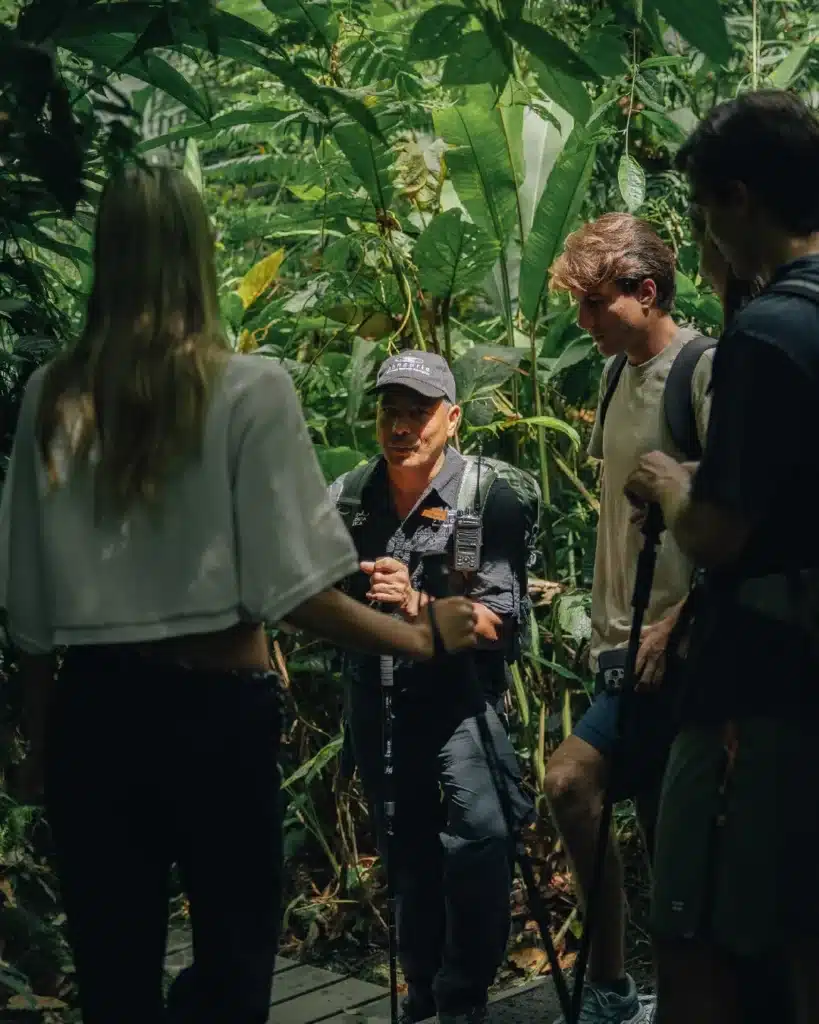 Sensoria guide leading guests through the rainforest
